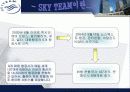 Sky Team - Symbiotic mkg 전략적 제휴 사례 조사 4페이지