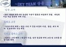 Sky Team - Symbiotic mkg 전략적 제휴 사례 조사 12페이지