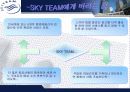 Sky Team - Symbiotic mkg 전략적 제휴 사례 조사 17페이지