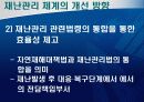 도시재난관리-재난관리 체계의 문제점 및 개선 방향 32페이지