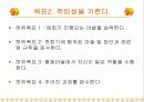 보호관찰 청소년의 사회성 향상 프로그램 14페이지