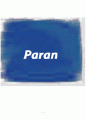 파란(Paran)의 마케팅 전략 분석 1페이지