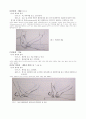 하지 및 척추의 관절가동범위 운동 3페이지