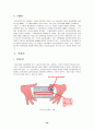 전자 상거래의 전자 서명 기술 및 사례 24페이지