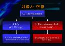 CJ Entertainment 의 마케팅 전략 분석 24페이지