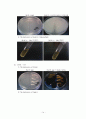 The Hydrolysis of Starch, Casein, Gelatin 14페이지