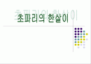 곤충의 탈피와 변태 1페이지