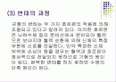 곤충의 탈피와 변태 11페이지