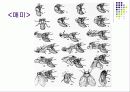 곤충의 탈피와 변태 17페이지