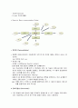 인터넷의 마케팅적 가치 7페이지