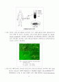 생명복제와 응용분야 16페이지