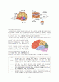 뇌종양 환자 간호 사례연구 case study 3페이지