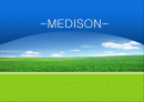 메디슨(Medison) 회사소개와 ERIS 분석과 발전방향 및 우리나라 벤처 기업의 발전 방향 1페이지