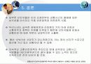 교통선진국으로의 진입을 위한 국내외 교통사고율 분석 22페이지