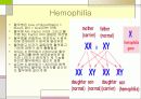 응고장해(Coagulation disorder) 4페이지