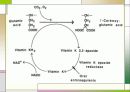 응고장해(Coagulation disorder) 15페이지