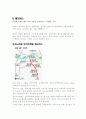 신개념 교통수단의 종류와 발전방향 11페이지