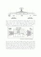 scm 구축 사례 (삼성전자) 2페이지