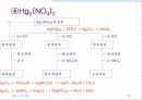 양이온 제1족 18페이지