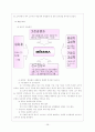 [경영]미샤 기업분석 및 마케팅 28페이지