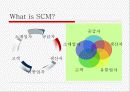 [산업공학]SCM(Supply Chain Management)구현에 관한 사례연구 CJ GLS를 중심으로 (A+리포트) 3페이지