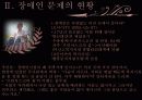 장애인문제에 대한 해결책 및 대안(소득지원,사회참여,교육,의료대책) 15페이지