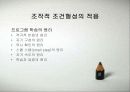 학습이론(행동주의 학습이론 인지학습 이론) 12페이지