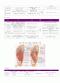 근육의 기능, 역활과 지배신경의 작용 13페이지