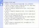 국제법의 기초이론 5페이지