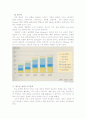 한국의 경제에 IT산업이 미치는 영향 13페이지