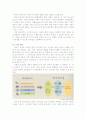 한국의 경제에 IT산업이 미치는 영향 17페이지