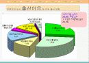 미혼모 가족 문제점과 복지 대책(외국복지대책사례)(A+레포트) 14페이지