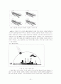 열섬현상과 극복 방안-생태계와 환경오염(A+레포트)★★★★★ 13페이지