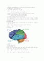뇌와 신경계-아동발달심리와 교육(A+레포트)★★★★★ 8페이지