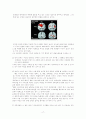 뇌와 신경계-아동발달심리와 교육(A+레포트)★★★★★ 17페이지