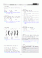 [과외]중학 과학 3-2학기 중간5 유전과 진화(교사용) 8페이지