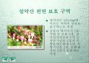 우리나라의 문화 유산 17페이지