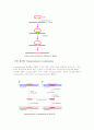 유전자 조작과 줄기 세포 4페이지