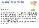 다국적 기업의 이론과 사례 3페이지