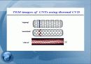 탄소나노튜브 10페이지