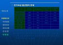 한국 전력 민영화 29페이지