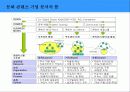 한국의 문화 콘텐츠 비즈니스와 성공 전략 19페이지