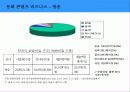 한국의 문화 콘텐츠 비즈니스와 성공 전략 25페이지