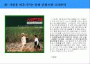 한국의 문화 콘텐츠 비즈니스와 성공 전략 39페이지