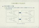 요구 분석 (Requirements Analysis) 20페이지