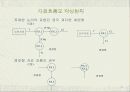 요구 분석 (Requirements Analysis) 24페이지