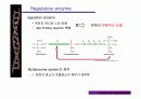 allosteric enzyme(feedback inhibition), 효소저해 9페이지