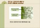 전도성 고분자의 원리와 활용(The Principle and Application of Conducting Polymer) 17페이지