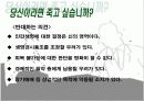 안락사에 대한 찬반논쟁 14페이지