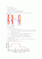 세포 분열을 통한 돌연변이 3페이지